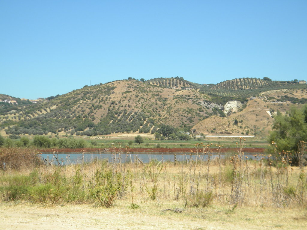 DSCN2590 .JPG